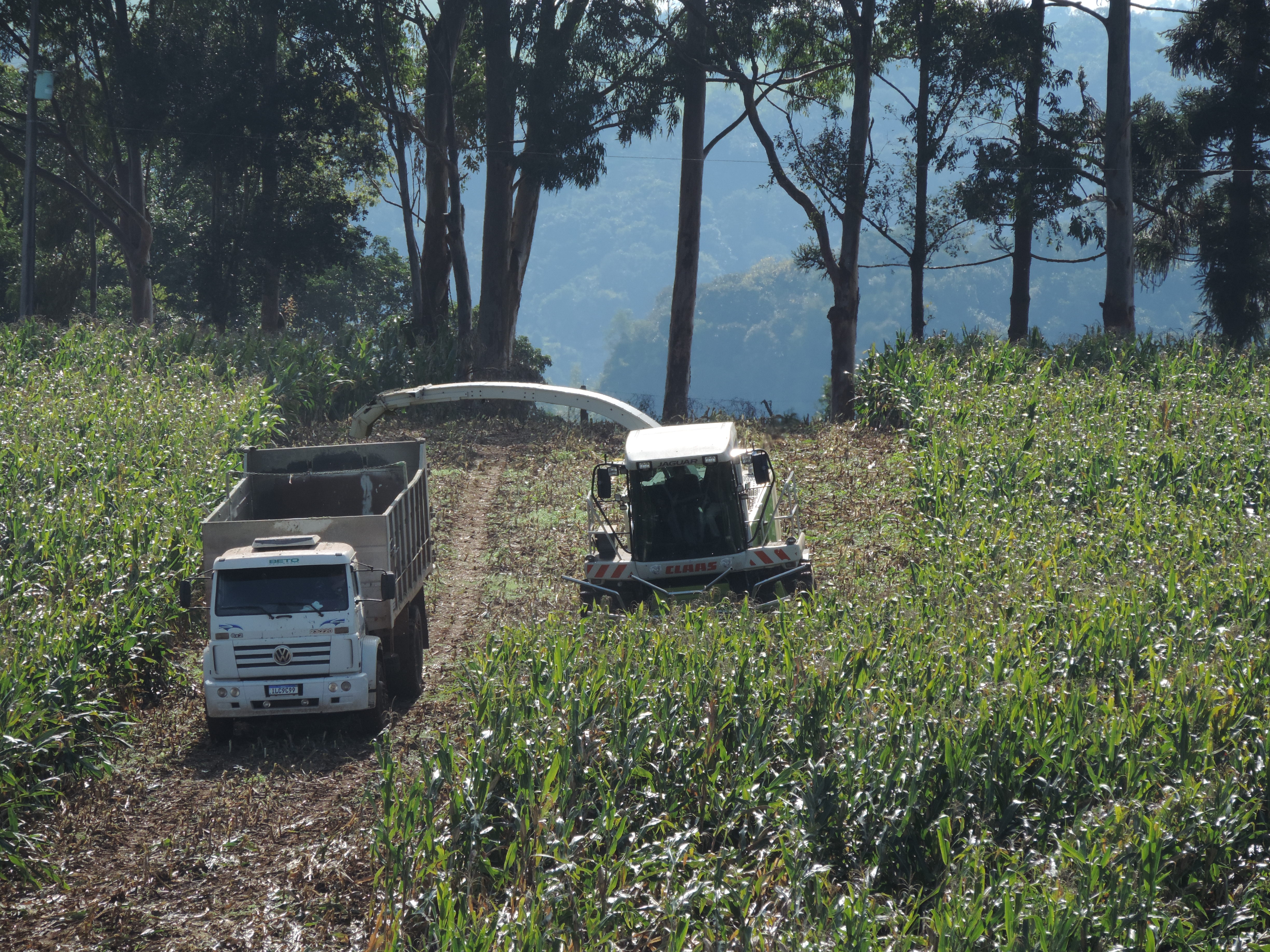Fazenda Zancanaro